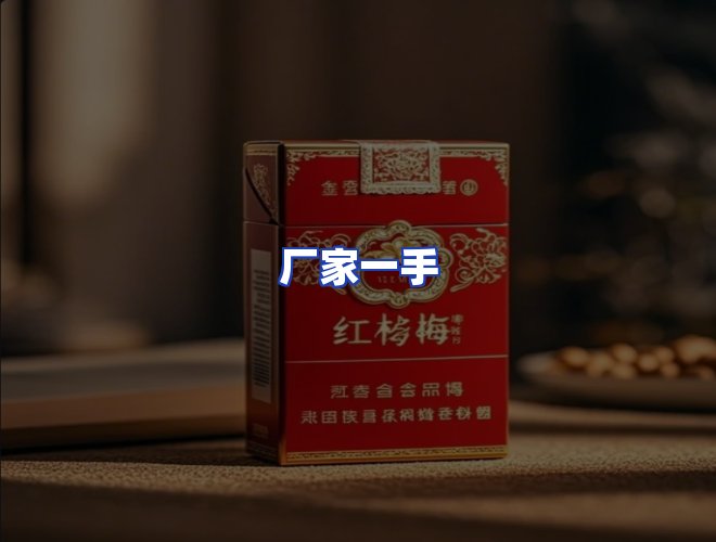 专业团队